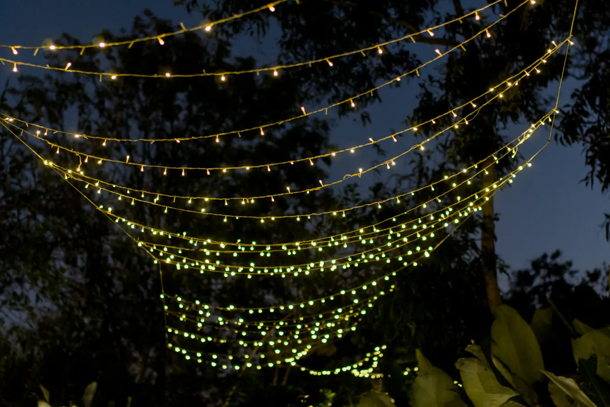 Wonderland, May 2023. AAA Events Group event photograph 21 of 25.